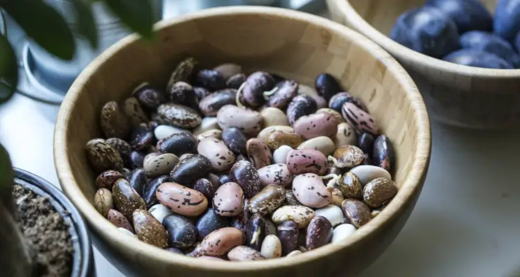 What Types of Legumes Cause Gas and Abdominal Discomfort