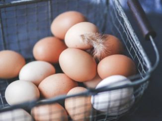Kuřecí vejce krmená zrnem bezpečná pro bezlepkovou dietu