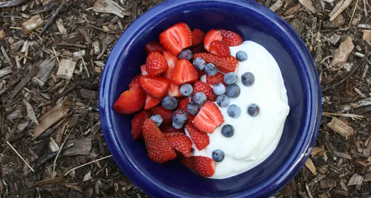 yogur con proteina de vassle