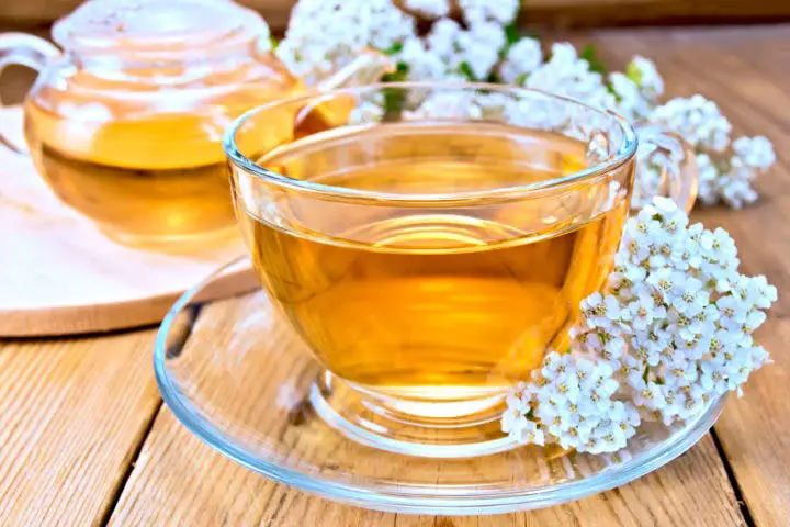 Benefícios do chá de Milenrama