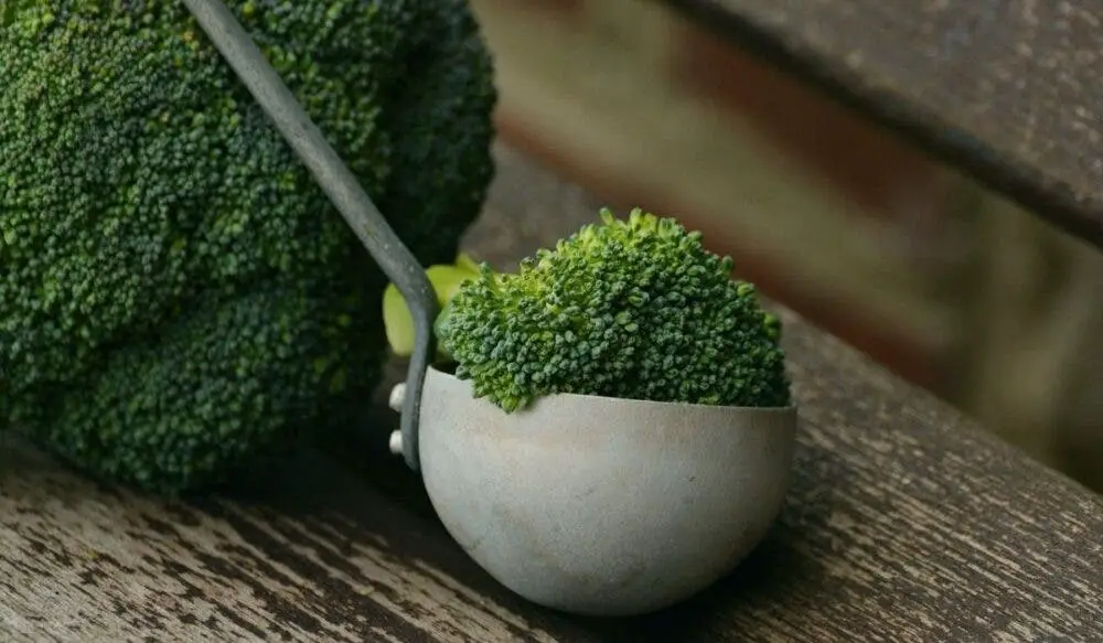beneficios brócoli