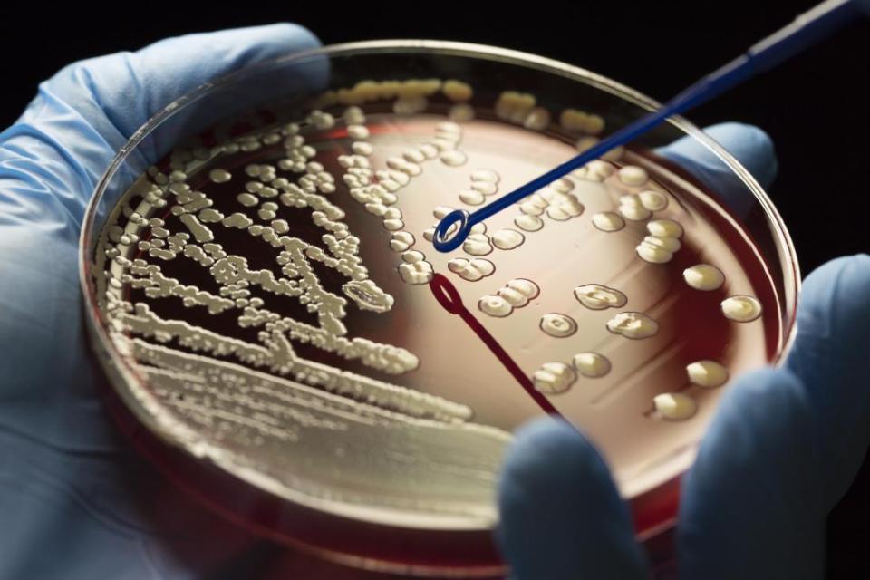 Bacterias resistentes por el abuso de los antibióticos