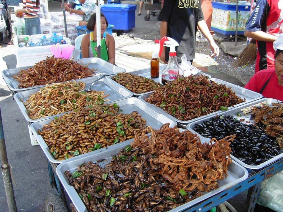 Comer insectos en Asia