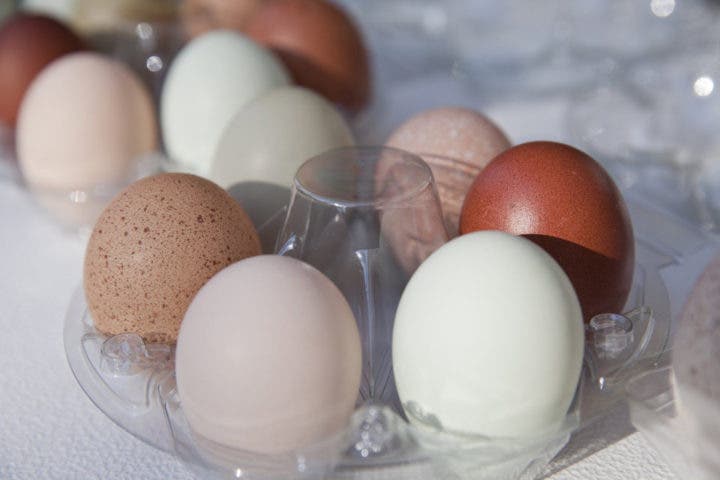 ¿Qué categorías de huevos hay?