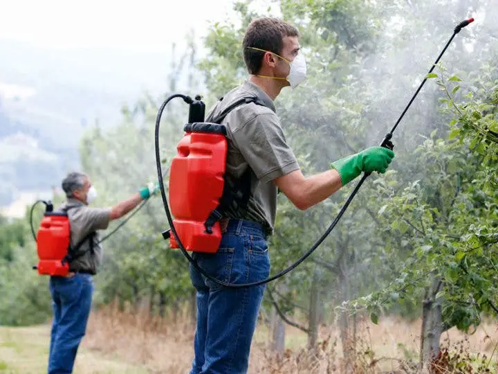 Cultivos con mayor cantidad de pesticidas