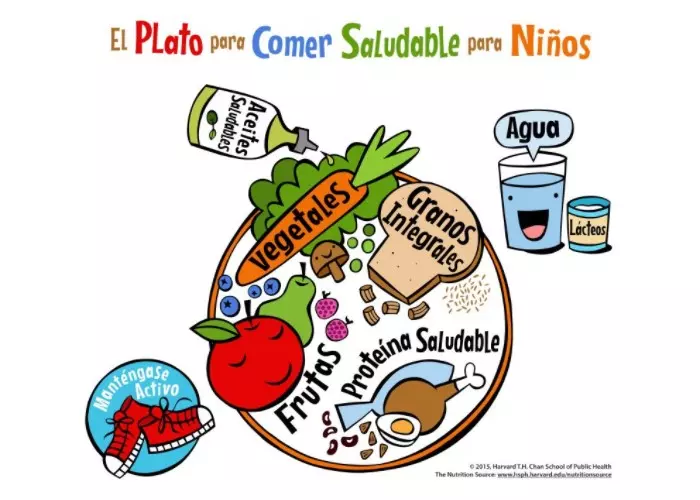 Guía para alimentación infantil llamada Plato para comer saludable para niños