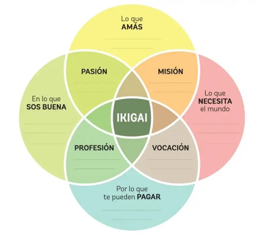 kom in aanraking met ikigai
