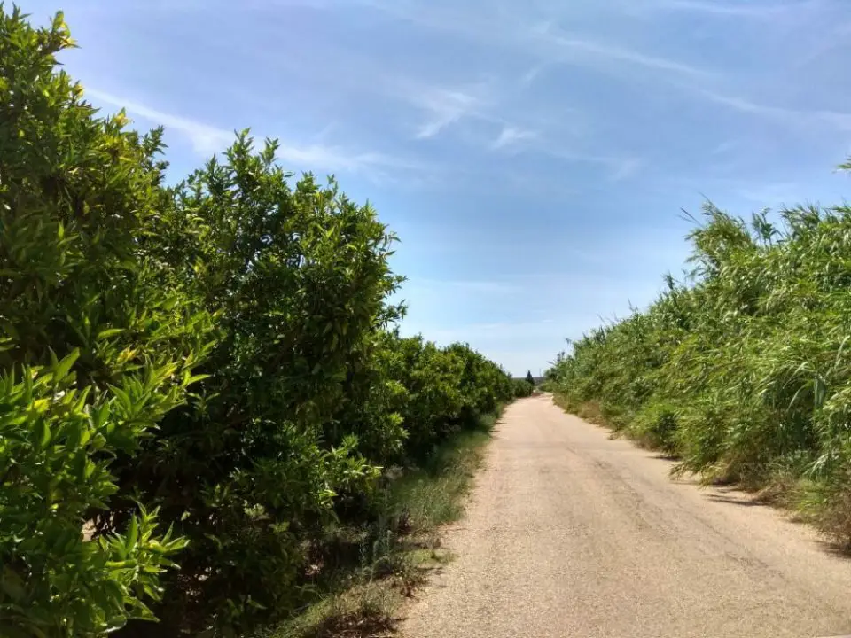 Pistas y señalización Camino Natural del Ebro