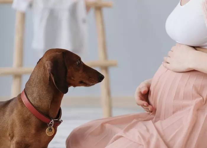 Беременная женщина со своей собакой
