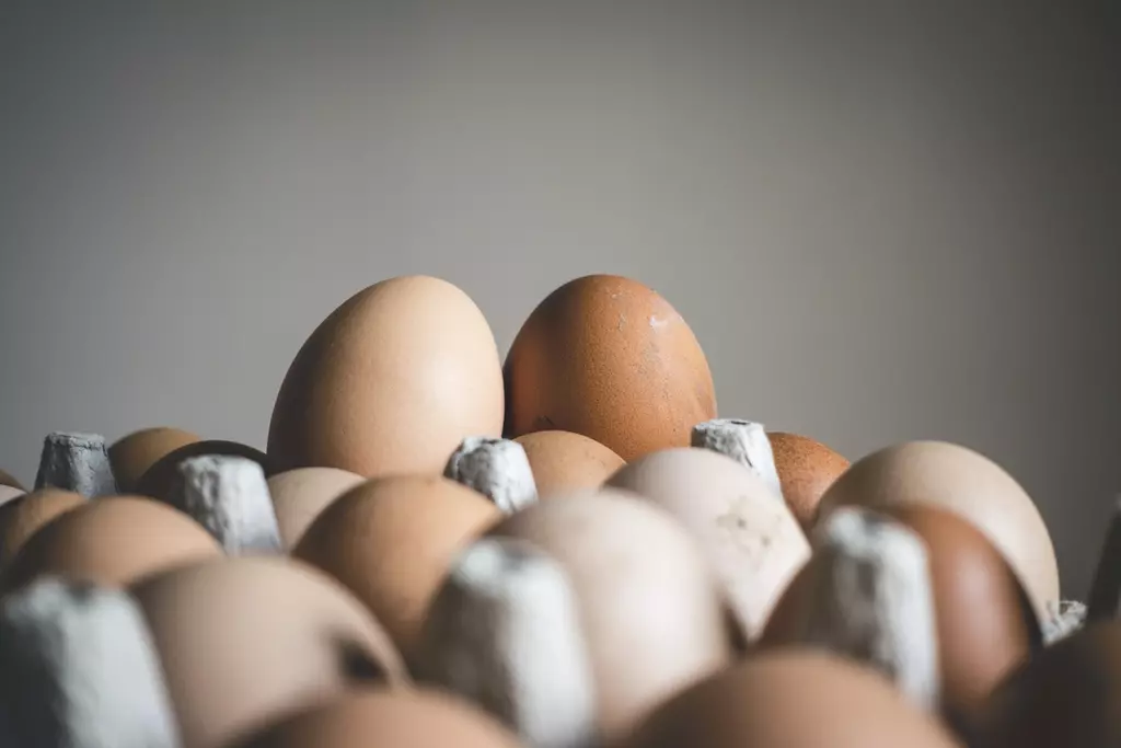 huevos con proteinas