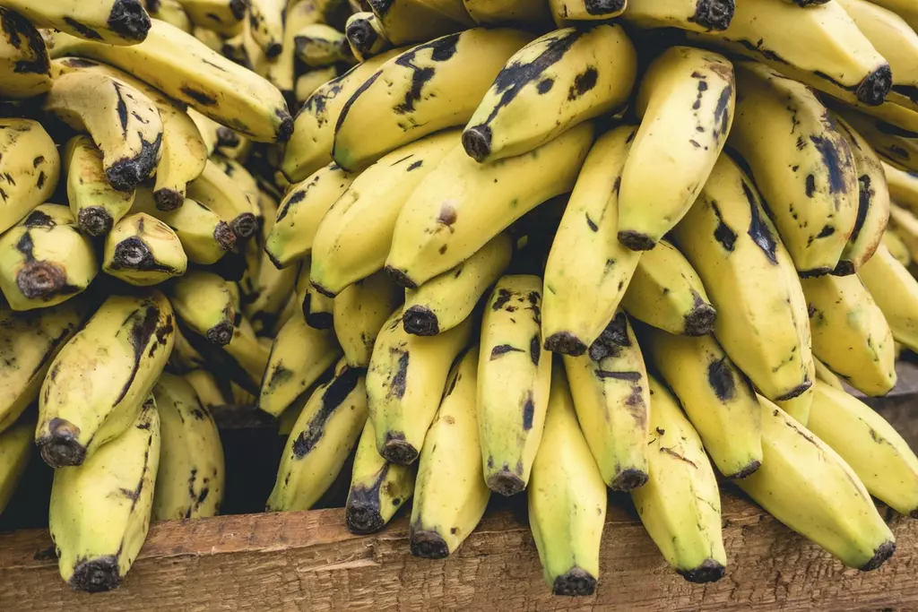 kypsiä banaaneja